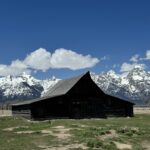 1b58ebc4 f222 417d aec3 b4fbcc829cdf