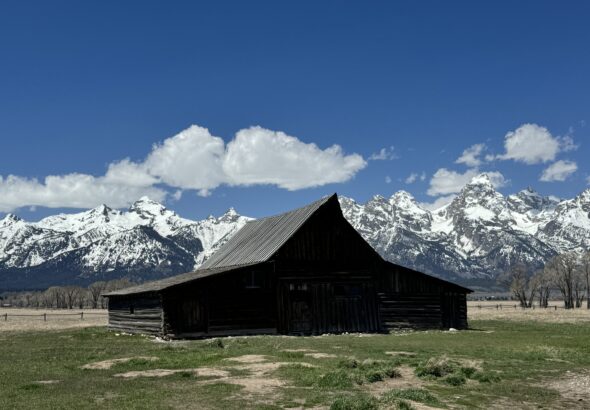 1b58ebc4 f222 417d aec3 b4fbcc829cdf