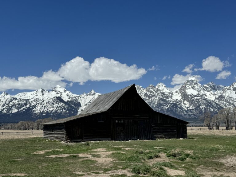 1b58ebc4 f222 417d aec3 b4fbcc829cdf